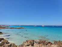 original 20210706 160255