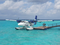 original IMG-20221011-WA0019