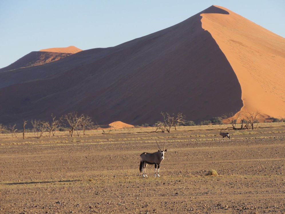 Bild von Eine Rundreise durch Namibia - Von Sossusvlei nach Windhoek 